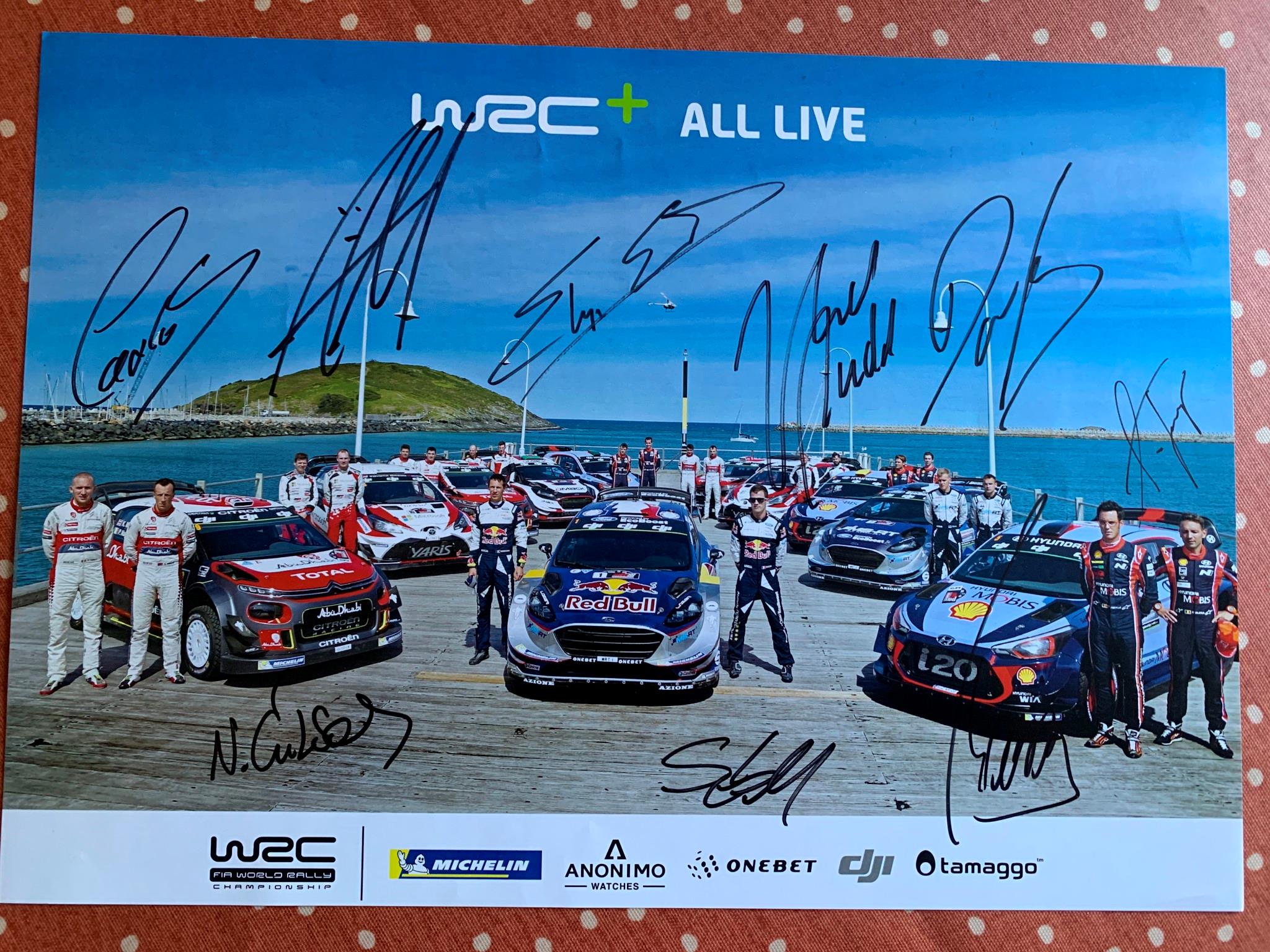 Signed WRC 16x12 poster Mikkelsen Barrio Evans Paddon Sordo Neuville Marshall +